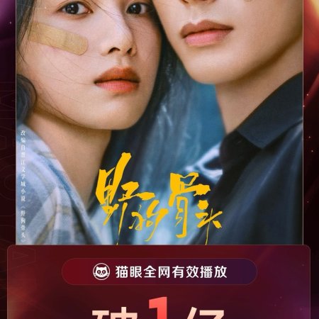 Love for You (2026)