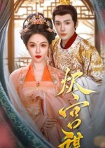 Jin Gong Mou Chinese Drama(2025) photo