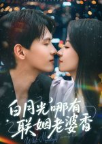 White Moonlight Fading Pale Chinese Drama(2025) photo