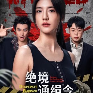 Desperate Warrant (2025)