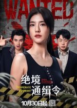 Desperate Warrant Chinese Drama photo
