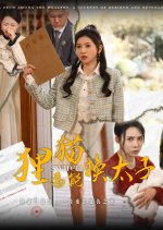 Switch Chinese Drama(2025) photo