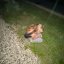 ryleigh