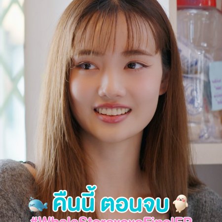 Whale Store xoxo (2025)