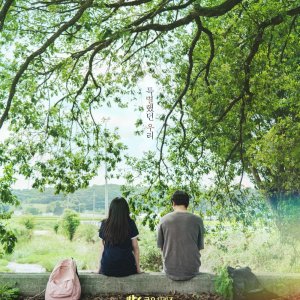 Still Shining (2026)