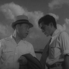 Stray Dog Japanese Movie photo