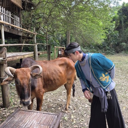 Scarlet Heart Thailand ()