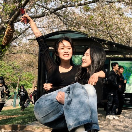 Love between Lines (2026)