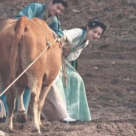 Where the Mask Ends ()