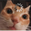 AuroraMoras