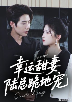 Xing Yun Tian Qi, Lu Zong Gui Di Chong (2025) poster