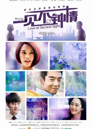 Love at Second Sight (2014) poster