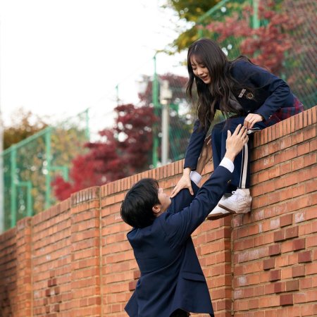 Head over Heels (2025)