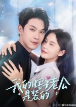 Wo De Xia Zi Lao Gong Shi Zhuang De Chinese Drama(2025) photo