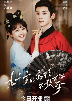 No Heights Too High poster