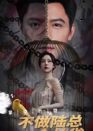 Zhang Zhong Wan Wu, Bu Zuo Lu Zong Jin Si Que (2024) poster