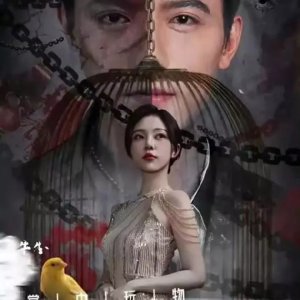 Zhang Zhong Wan Wu, Bu Zuo Lu Zong Jin Si Que (2024)