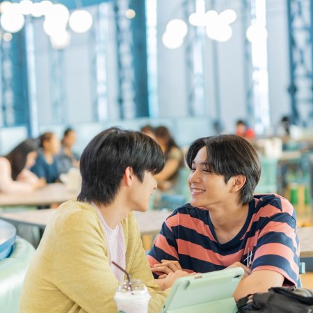 Boys in Love (2025)