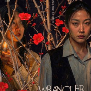 Wrangler (2026)