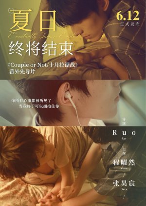 Couple or Not: Special Episode (2026) poster