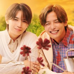 Renai Rubi no Tadashii Furikata Season 2 Japanese Drama(2026) photo