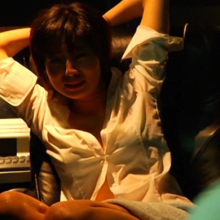 Perfect Education 7: Maid for You (2010)