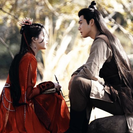 The Blossoming Love (2025)