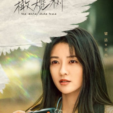The White Olive Tree (2025)