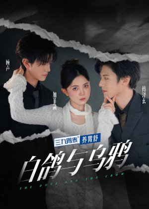 The Dove and the Crow (2024) poster