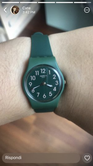 Roberto melanzana berlus