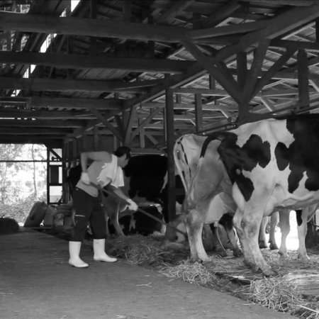 And The Mud Ship Slips Away... (2013)