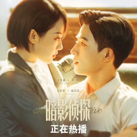 Shadow Detective (2025)