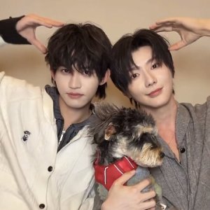 Shore of Manipulation 