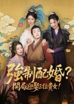 Wan Li Jiang Shan Ru Wo Huai Chinese Drama(2025) photo