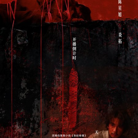 Love on the Turquoise Land (2025)