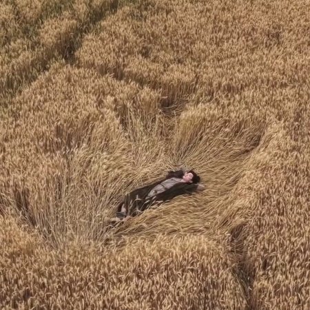 Live Long and Prosper ()