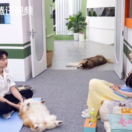 Heart Signal Season 8 (2025)