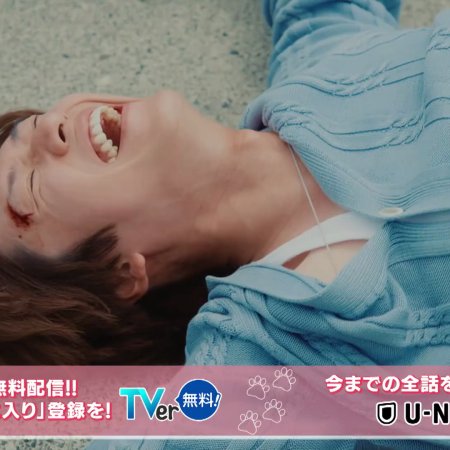 Love Is for the Dogs (2025)