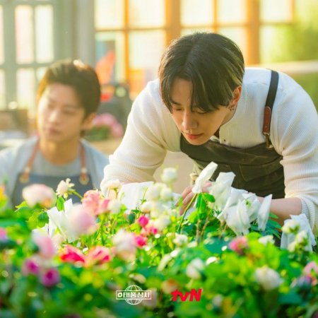 Typhoon Family (2025)