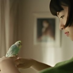 Renoir Japanese Movie photo