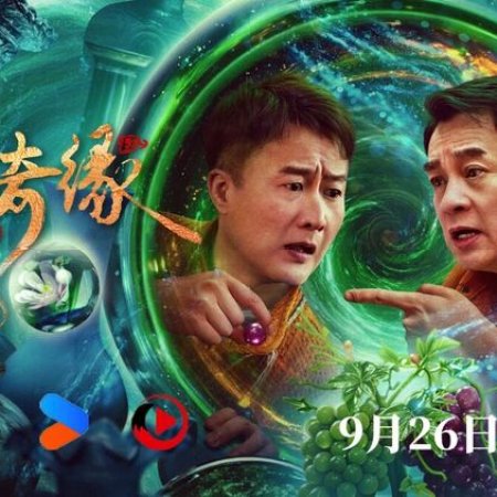 Legacy of Glaze (2025)