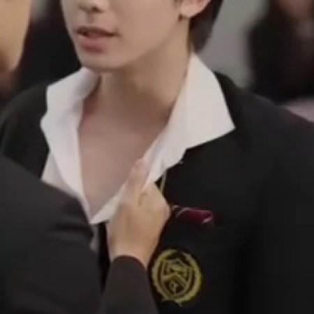 Golden Feathers (2025)