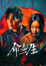 The Hunt Chinese Drama(2025) photo