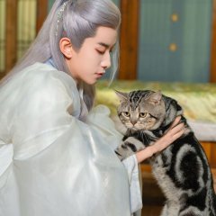 Bai Li An Shu Chinese Drama(2023) photo