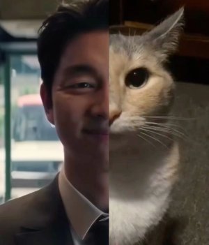 Kykyna