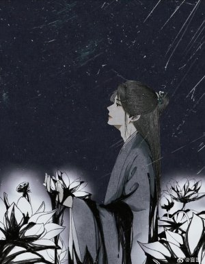 Sachi