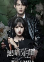 Blinded Love & Revenge Chinese Drama photo
