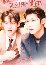 My Rival's Secretary Chinese Drama photo