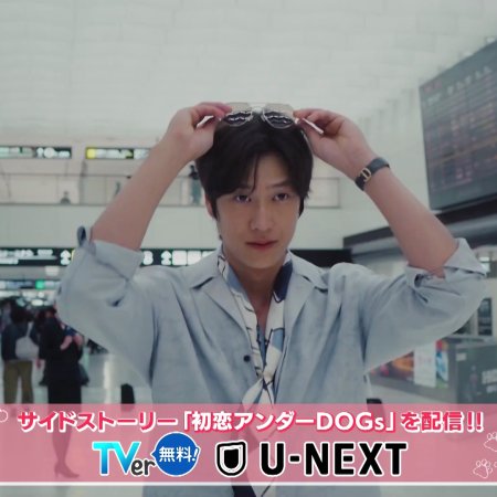 Love Is for the Dogs (2025)