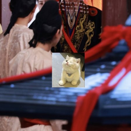 Jiang Shan Wei Pin ()
